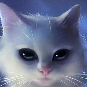 Meet your Posher, Rita